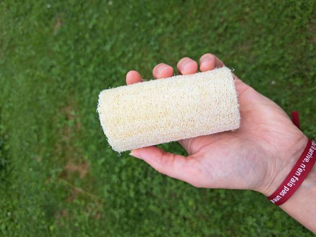 loofah exfoliant